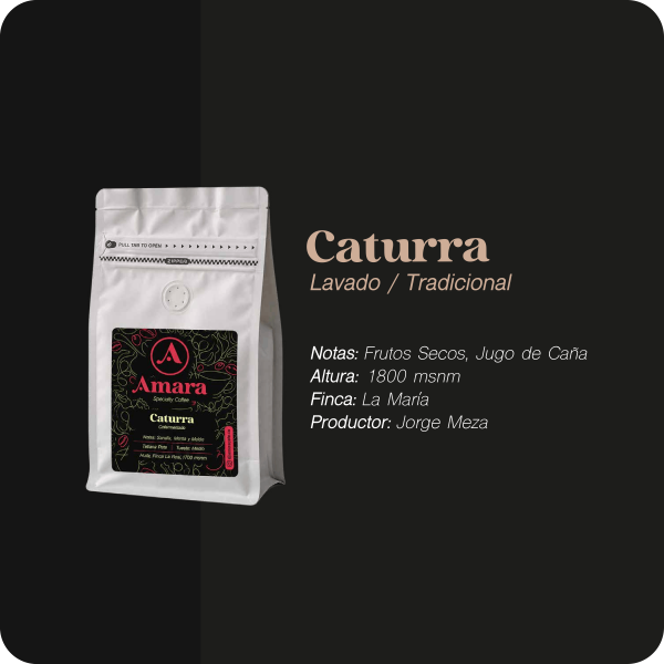 Tradicional - Caturra Lavado