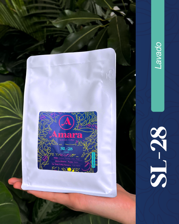 SL-28 Washed / Lavado