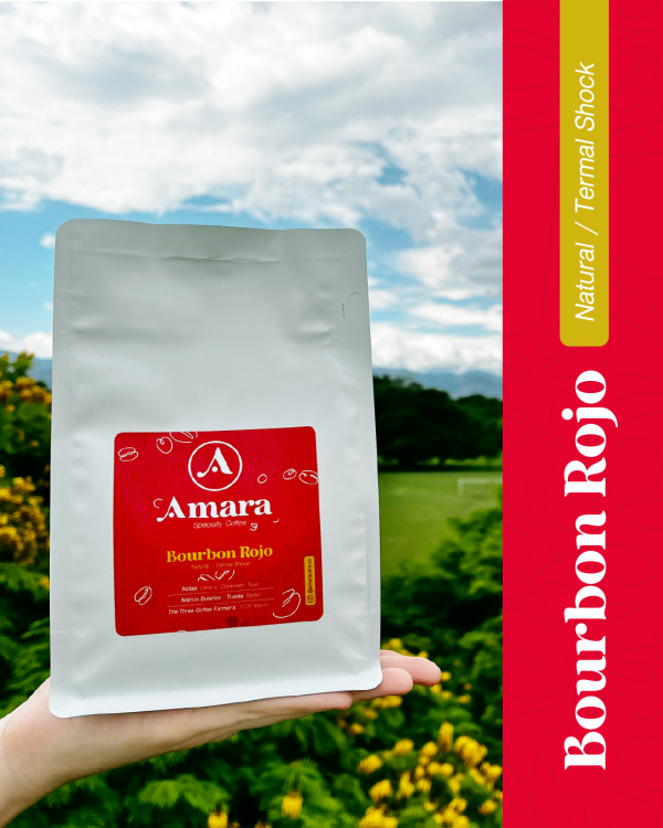 Bourbon Rojo Natural / Therma Shock