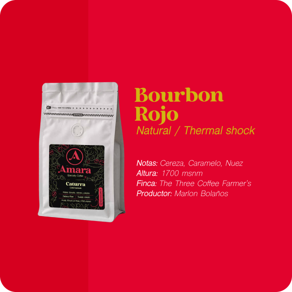 Bourbon Rojo Natural / Therma Shock