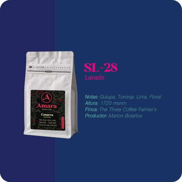 SL-28 Washed / Lavado