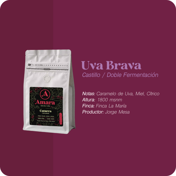 Uva Brava - Castillo Culturing con Doble Fermentación